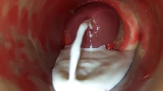 Sex Gay Porn 56